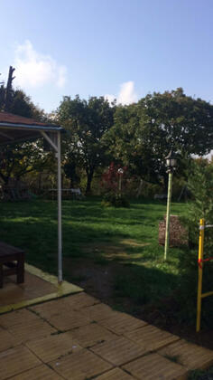 Patica Park - Görsel 12