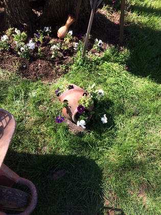 Patica Park - Görsel 23