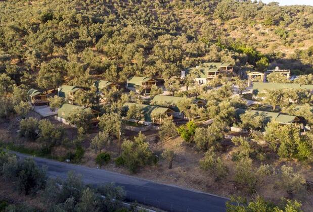 Sağlıklı Yaşam Tatil Köyü Kazdağları - Görsel 12