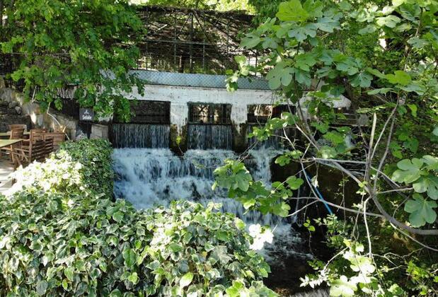 Sağlıklı Yaşam Tatil Köyü Kazdağları - Görsel 6