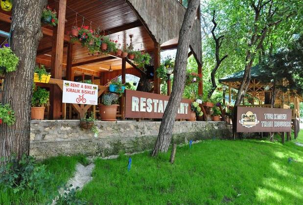 Türkmen Tree Houses - Görsel 17