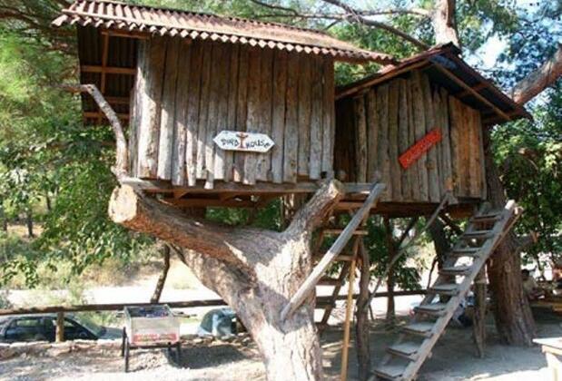 Türkmen Tree Houses - Görsel 3