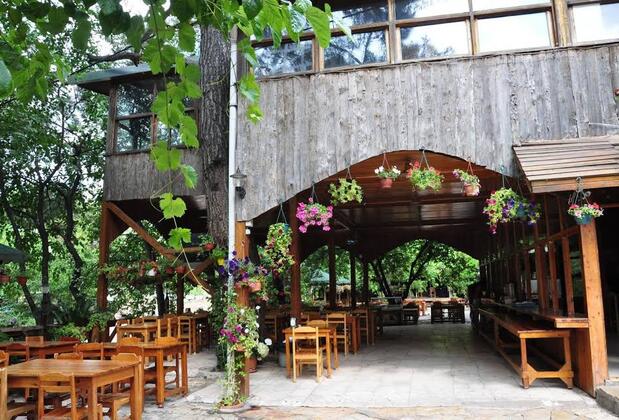 Türkmen Tree Houses - Görsel 5