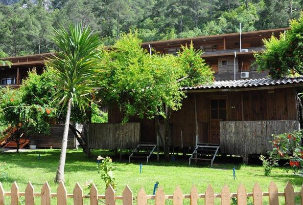 Türkmen Tree Houses - Görsel 6