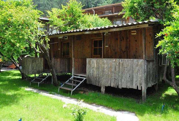 Türkmen Tree Houses - Görsel 8