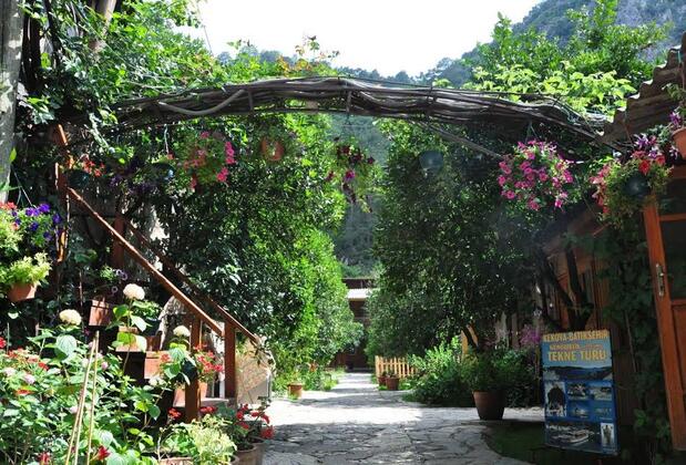 Türkmen Tree Houses - Görsel 9