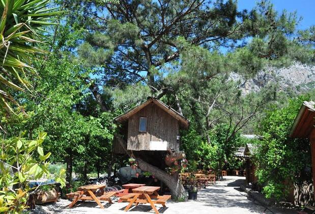 Türkmen Tree Houses - Görsel 7