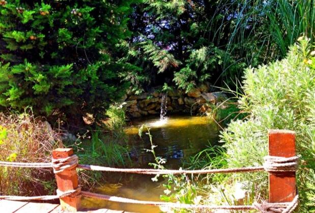 Façiba Butik Otel - Görsel 6