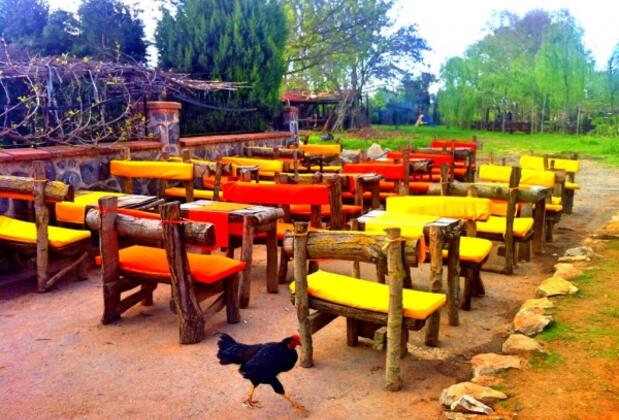 Façiba Butik Otel - Görsel 4