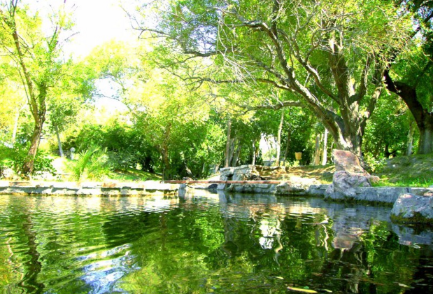 Büyük Antakya Hotel - Görsel 6