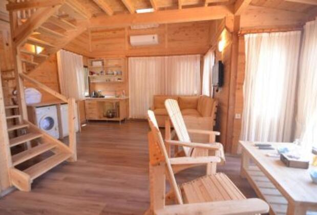 Vadi Faralya - Görsel 16