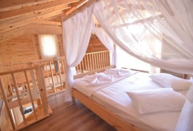 Vadi Faralya - Görsel 9