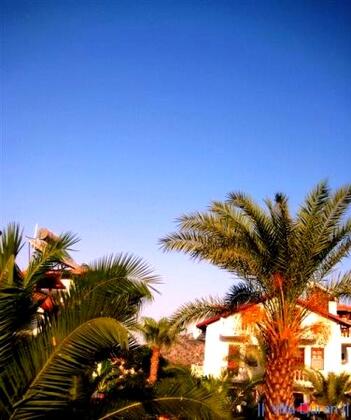 Villa Duran - Görsel 8