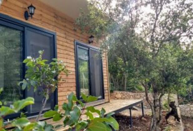 Chalba Minik Ev - Görsel 6