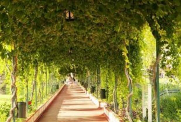 Haznedar Villas - Görsel 4