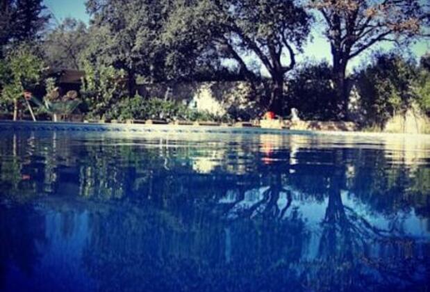 Haznedar Villas - Görsel 7