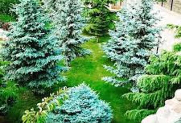 Haznedar Villas - Görsel 10