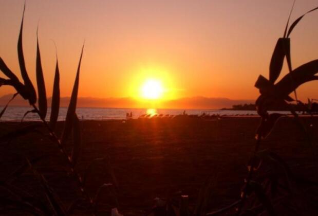 Mediterranean Garden Hotel - Görsel 4