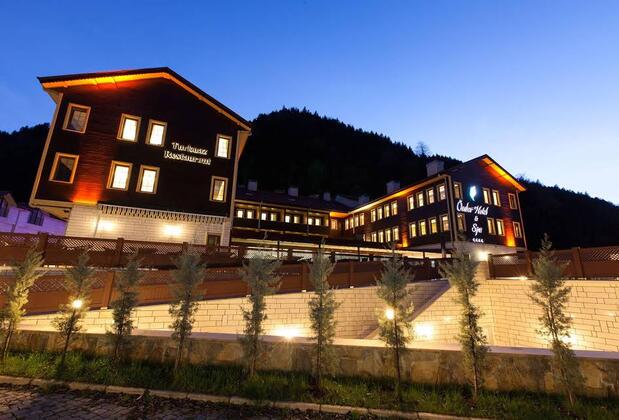 Flora Hotel Uzungöl - Görsel 11