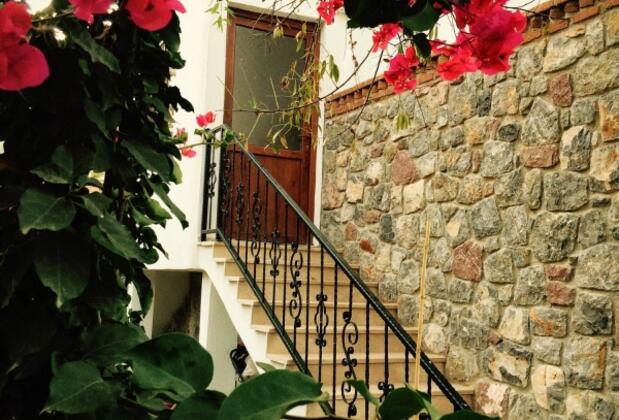 Limon Çiçeği Tatil Evi - Görsel 7