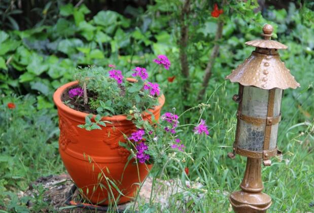 Doğa Villaları - Görsel 38