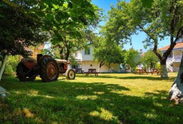 Ziya Bey Tatil Köyü - Görsel 15