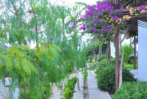 Milport Hotels Bodrum - Görsel 14