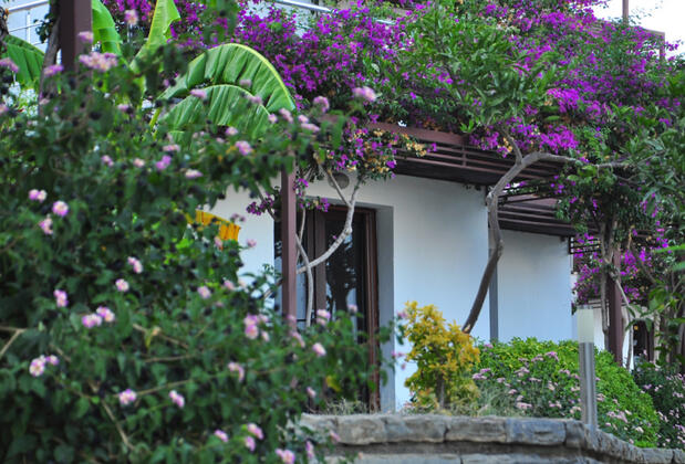 Milport Hotels Bodrum - Görsel 15