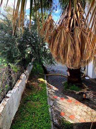 Villa Alsancak Girne - Görsel 12