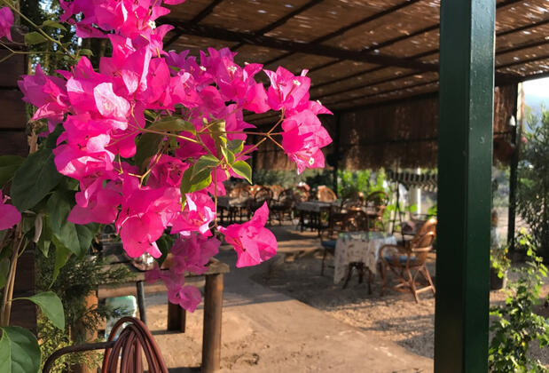 İlkim Motel - Görsel 15