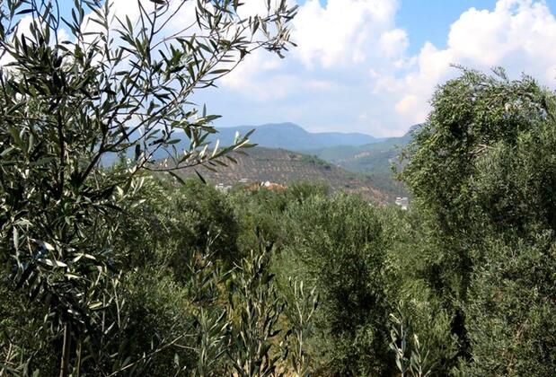 Güllü Pansiyon - Görsel 17