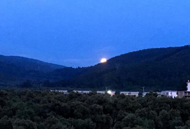 Güzelçamlık Villaları - Görsel 3