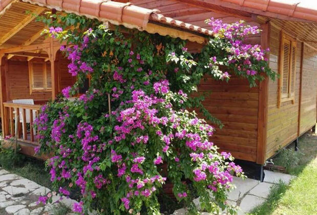 Murathan Konakları Çıralı - Görsel 8