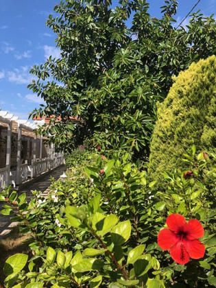 Kıyı Suite & Apart - Görsel 21