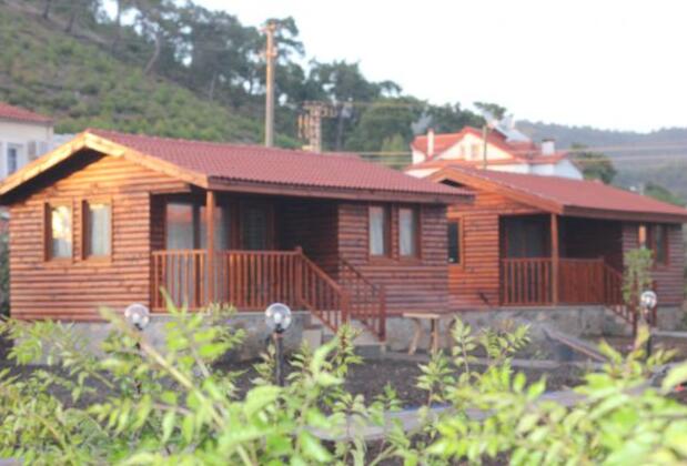 Defne Pansiyon Ağaç ve Apart Evler - Görsel 15