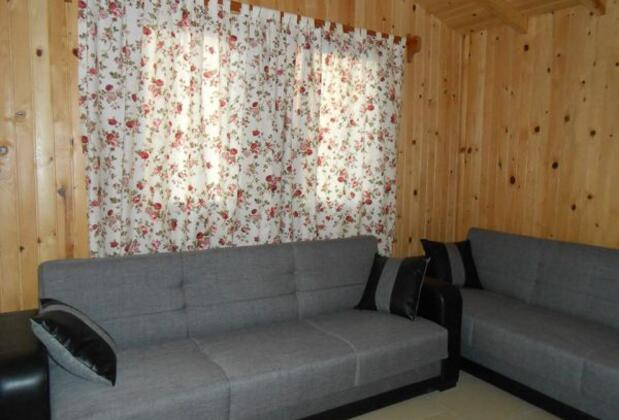 Defne Pansiyon Ağaç ve Apart Evler - Görsel 5