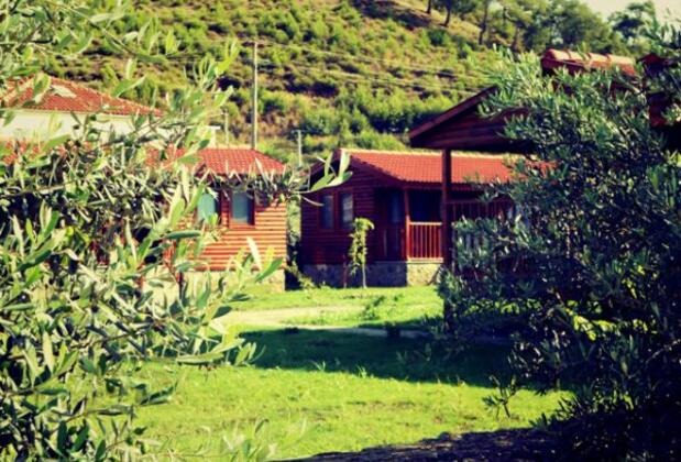 Defne Pansiyon Ağaç ve Apart Evler - Görsel 16