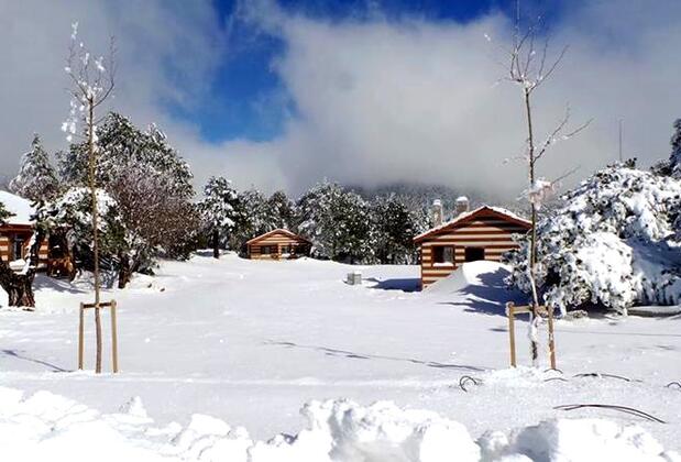 Spil Orman Köşkleri - Görsel 4