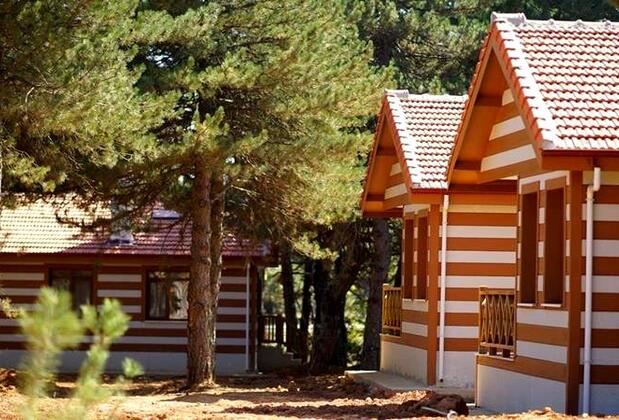 Spil Orman Köşkleri - Görsel 16