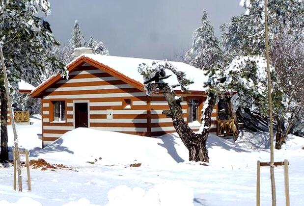 Spil Orman Köşkleri - Görsel 11