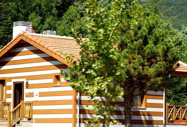 Spil Orman Köşkleri - Görsel 14