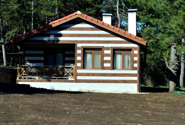 Spil Orman Köşkleri - Görsel 24