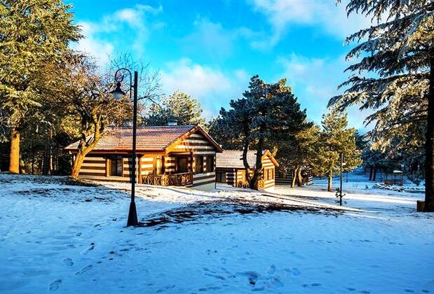 Spil Orman Köşkleri - Görsel 19