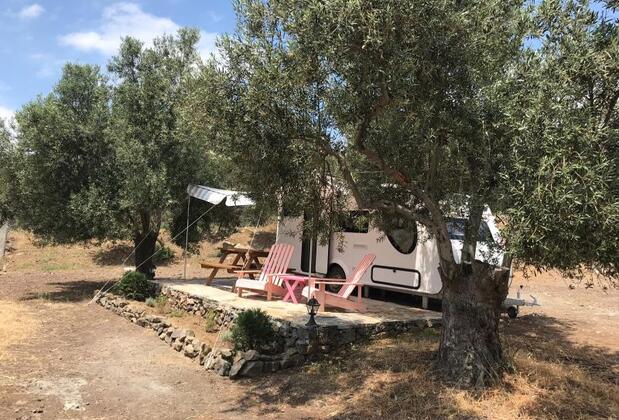 Mola Glamping - Görsel 7