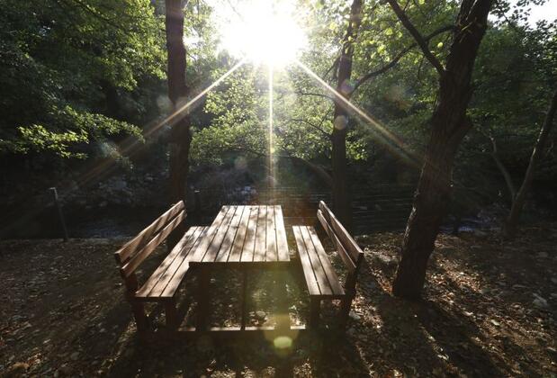 Kazdağı Kamp Zeytinli - Görsel 5