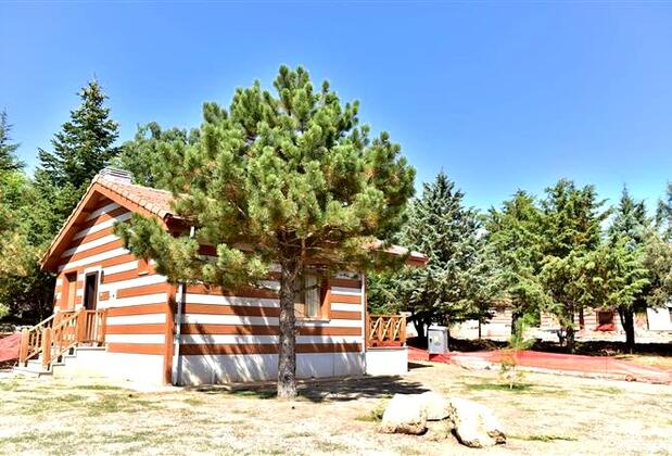 Spil Orman Köşkleri - Görsel 23