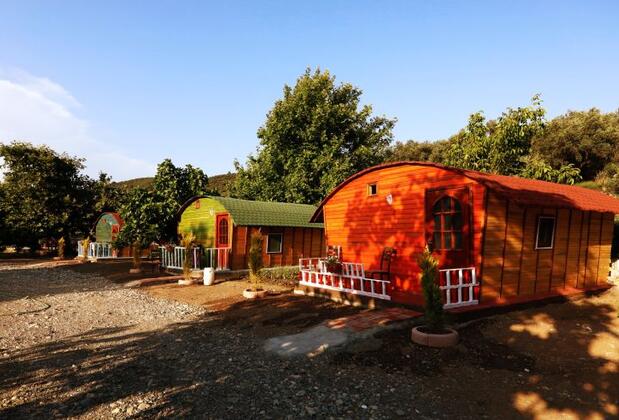 Kazdağı Kamp Zeytinli - Görsel 8