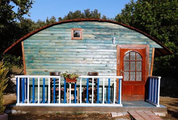 Kazdağı Kamp Zeytinli - Görsel 7