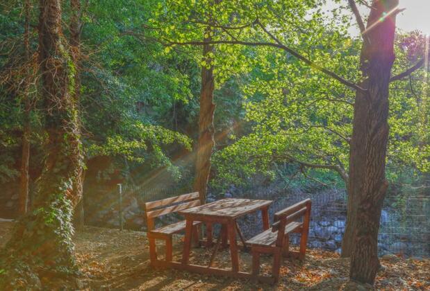 Kazdağı Kamp Zeytinli - Görsel 9