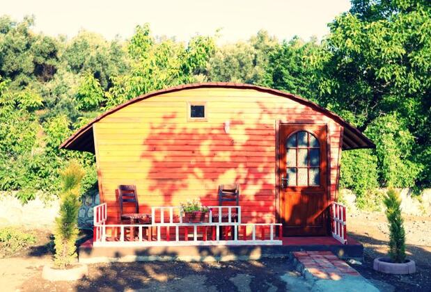 Kazdağı Kamp Zeytinli - Görsel 4